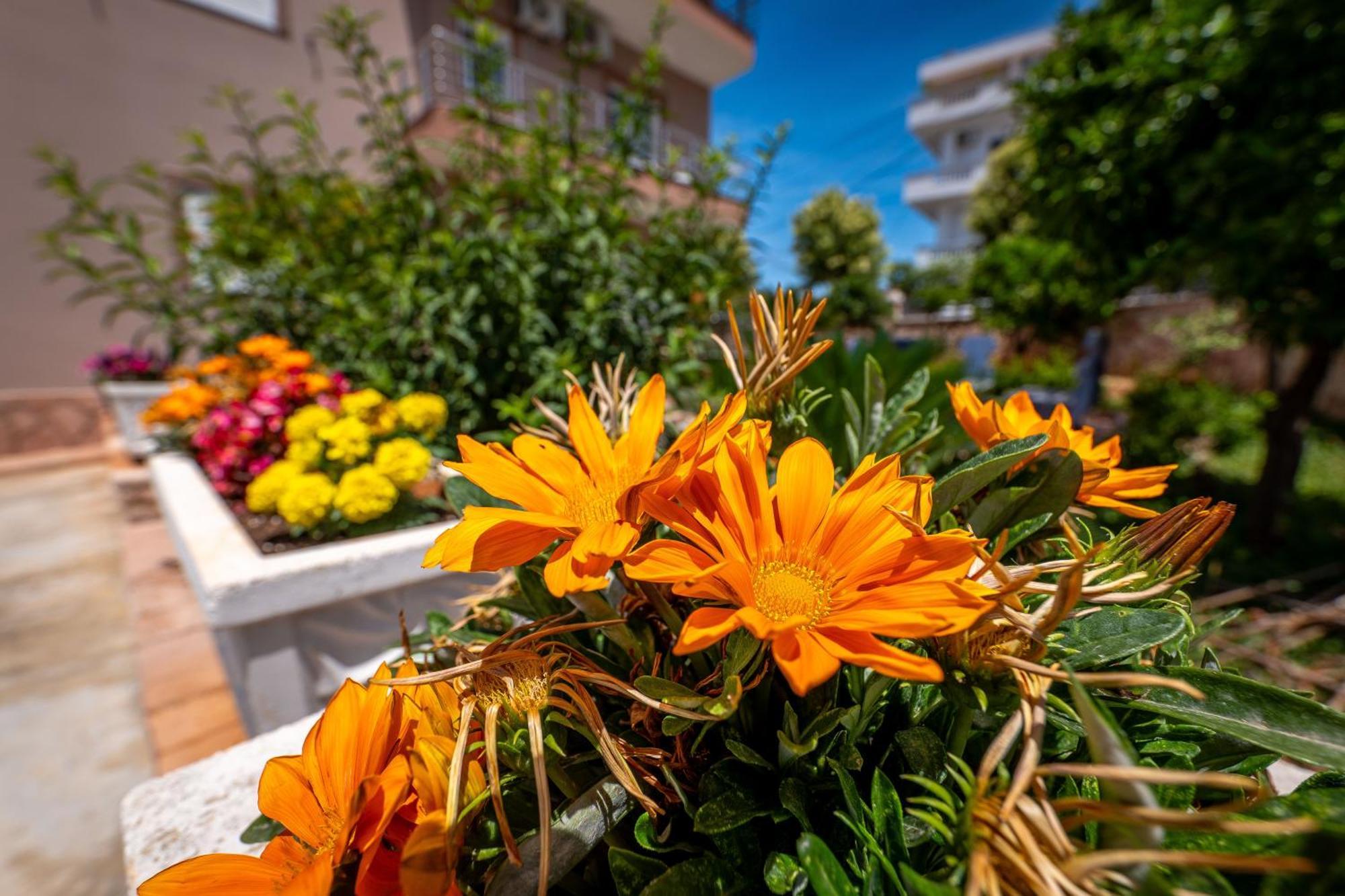 Villa Hamza Ksamil Exteriér fotografie